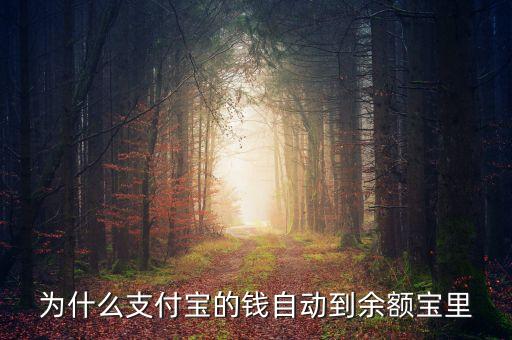 為什么支付寶的錢自動(dòng)到余額寶里