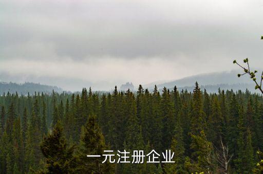 一元注冊企業(yè)