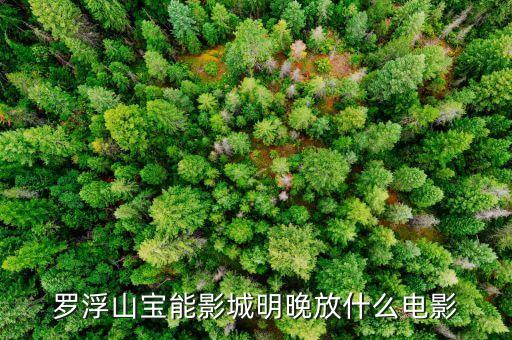 羅浮山寶能電影看什么，哪位寶能推薦幾部好看的電影