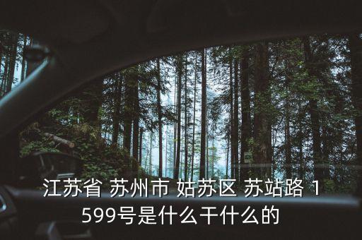 江蘇萬聯(lián)新兆做什么的，江蘇省 蘇州市 姑蘇區(qū) 蘇站路 1599號(hào)是什么干什么的