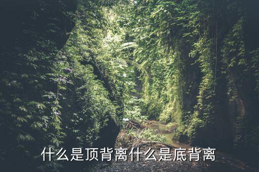 什么是頂背離什么是底背離