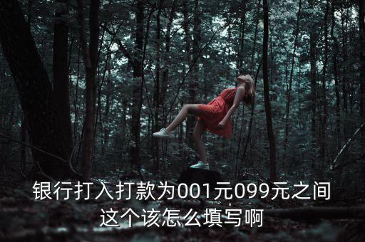 銀行打入打款為001元099元之間這個該怎么填寫啊