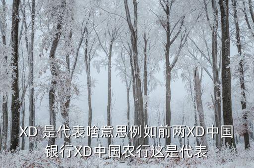 農(nóng)行中證代表什么，XD 是代表啥意思例如前兩XD中國(guó)銀行XD中國(guó)農(nóng)行這是代表