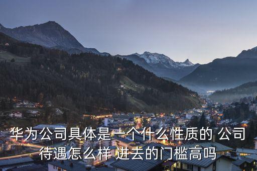 華為公司是什么性質(zhì)企業(yè)，華為集團(tuán)是什么性質(zhì)的企業(yè)