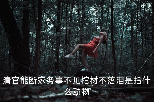 清官能斷家務事不見棺材不落淚是指什么動物