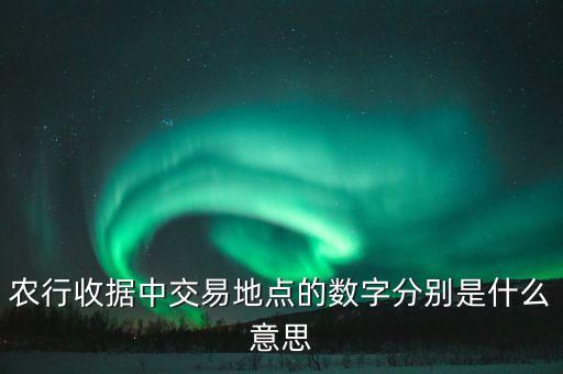 農(nóng)行收據(jù)中交易地點(diǎn)的數(shù)字分別是什么意思