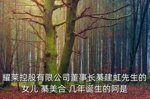 耀萊集團董事長姓什么，武漢耀萊成龍國際影城老板是成龍嗎