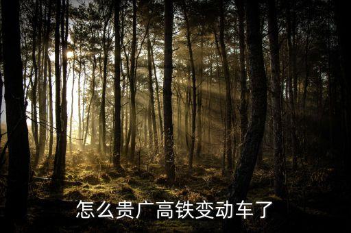高鐵什么時候變動車，怎么貴廣高鐵變動車了