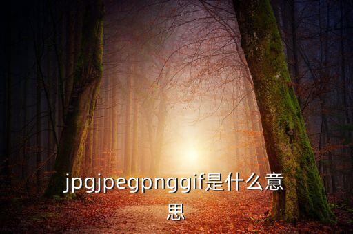 什么是代價比率，JPG文件會有病毒嗎