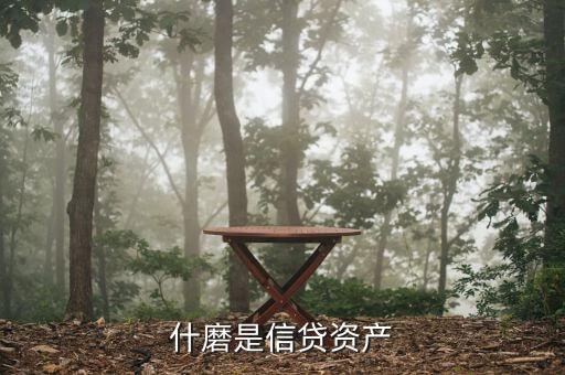 什么是類信貸資產(chǎn)，貸款類資產(chǎn)包括哪些