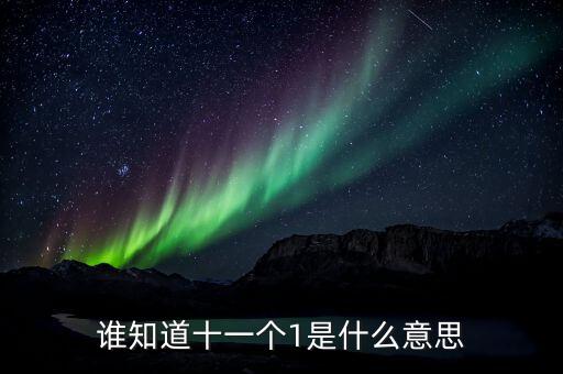 銀行說的逾期10個1是什么意思，誰知道十一個1是什么意思