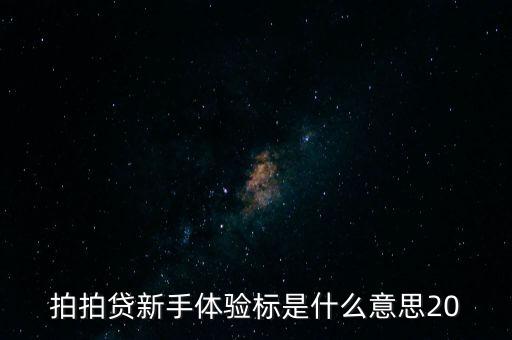 拍拍貸新手體驗標(biāo)是什么意思20