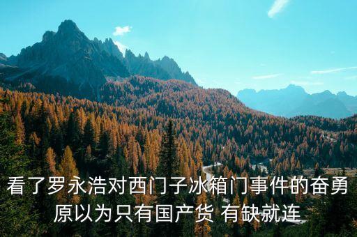 羅永浩為什么砸西門子冰箱，羅永浩給西門子造成了多大的損失