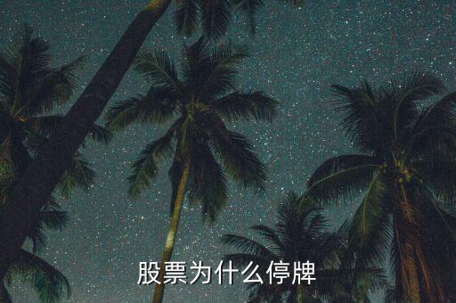 中國(guó)中期為什么停牌，停牌的原因是什么
