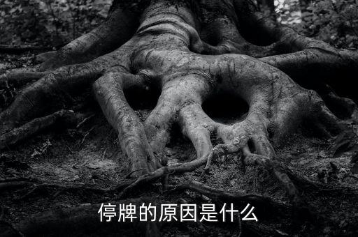 上海萊士為什么停牌，今天早上萊鋼為什么要停牌 一小時 是萊鋼申請的嗎