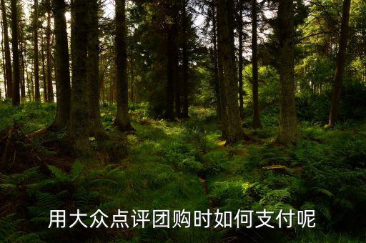 大眾點評網(wǎng)用什么支付，手機大眾點評有幾種支付方式