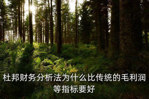 為什么要比較毛利率，杜邦財務(wù)分析法為什么比傳統(tǒng)的毛利潤等指標(biāo)要好