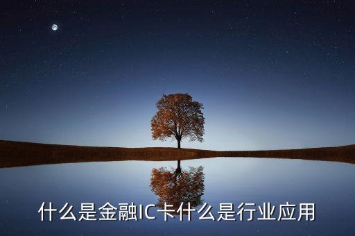 社保金融ic卡是什么，什么是中銀社保金融卡