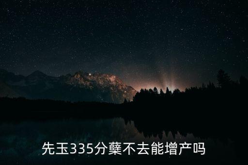 先玉335產(chǎn)量為什么低，先玉335分蘗不去能增產(chǎn)嗎