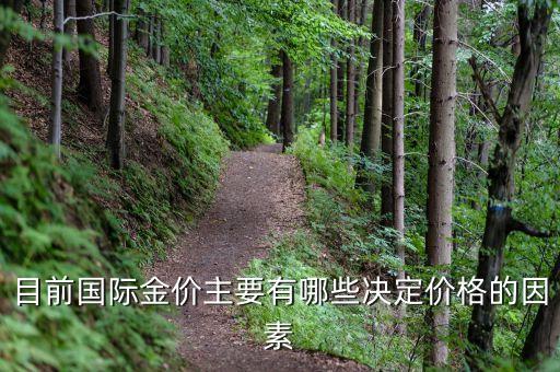 目前國際金價(jià)主要有哪些決定價(jià)格的因素