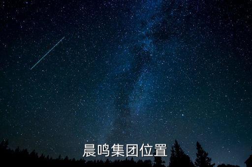 壽光造紙廢固是什么，晨鳴集團位置