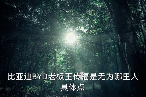 比亞迪BYD老板王傳福是無為哪里人具體點