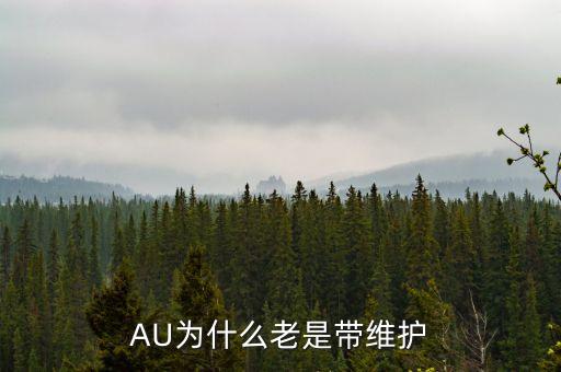 摩根幣系統(tǒng)為什么經(jīng)常維護(hù)，AU為什么老是帶維護(hù)