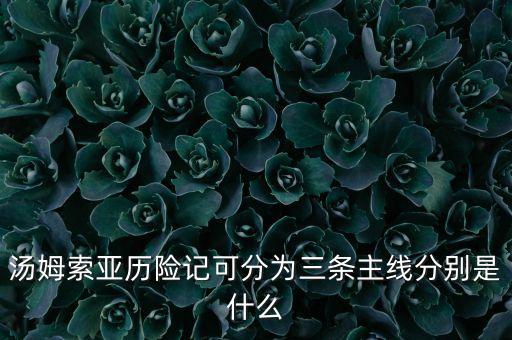 湯姆索亞歷險記可分為三條主線分別是什么