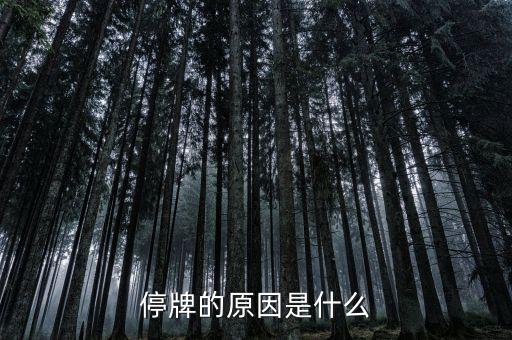 恒基達(dá)鑫為什么停牌，000898什么原因停牌了