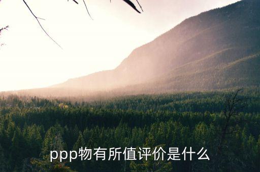 ppp物有所值評估是什么，PPP的物有所值論證是從哪方面來做的