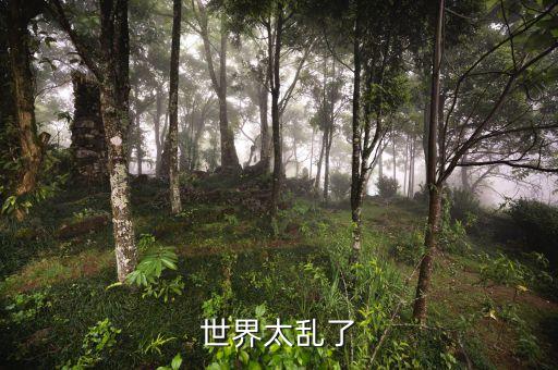 為什么在悉尼發(fā)生劫持人質(zhì)事件，為什么馬尼拉發(fā)生的劫持反響這么大