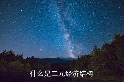 什么是二元經(jīng)濟結(jié)構(gòu)