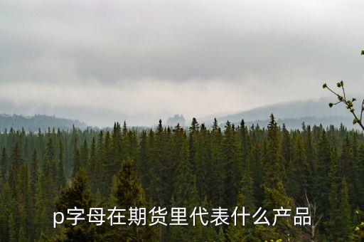 pp是什么期貨，聚丙烯期貨是什么