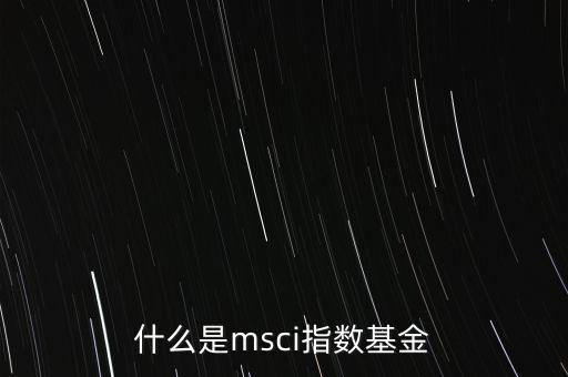 什么是msci指數基金