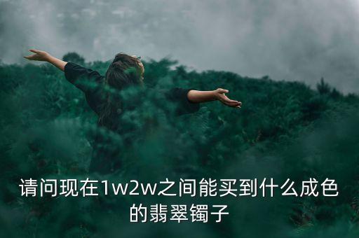 請問現在1w2w之間能買到什么成色的翡翠鐲子