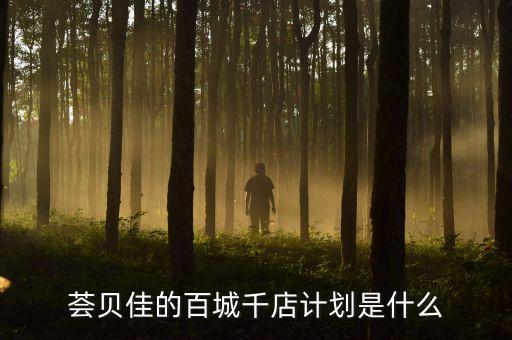 百城千店是干什么的，百城千店介貸是什么