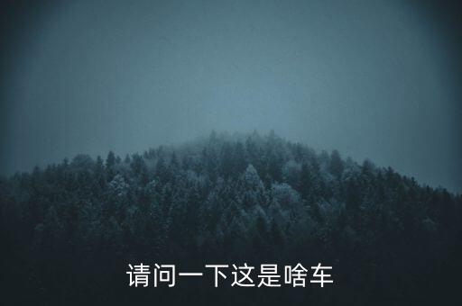 請(qǐng)問(wèn)一下這是啥車