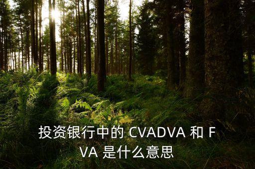 銀行里面dva是什么意思，開黑嗎 我玩亞索 我不坑 除非我卡