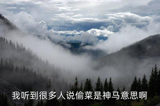 偷白菜什么意思，仙桃方言偷白菜趕兔子是什么意思