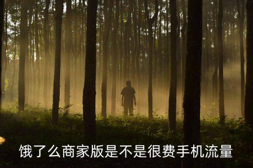 餓了么為什么那么耗流量，餓了么商家版是不是很費手機流量