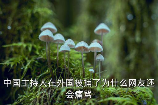 國網(wǎng)魏慶海出什么事了，中國主持人在外國被捕了為什么網(wǎng)友還會痛罵