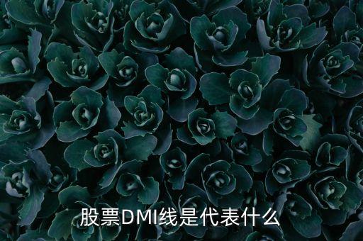 股票中dmi是什么意思，股票DMI線是代表什么