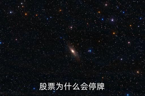 002163為什么停牌，股票為什么會停牌