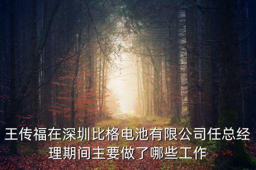 王傳福在無為做了什么實(shí)事，王傳福成為2009中國新首富其成功的因素分析