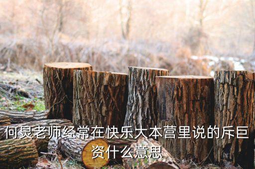 赤巨資是什么意思，赤巨資是什么意思能解釋一下嗎