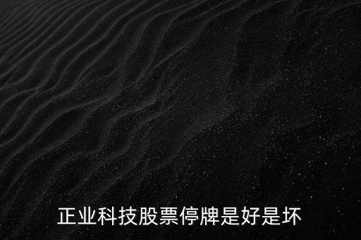 正業(yè)科技為什么停牌，正業(yè)科技股票為什么停盤(pán)