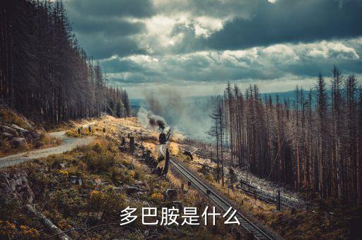 云藥是什么，rarely是什么意思