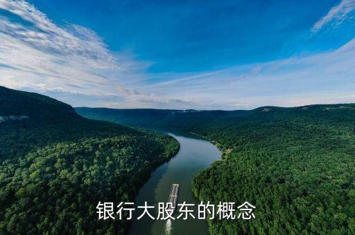 銀行最大的股東是什么意思，中國(guó)建設(shè)銀行最大股東是誰(shuí)