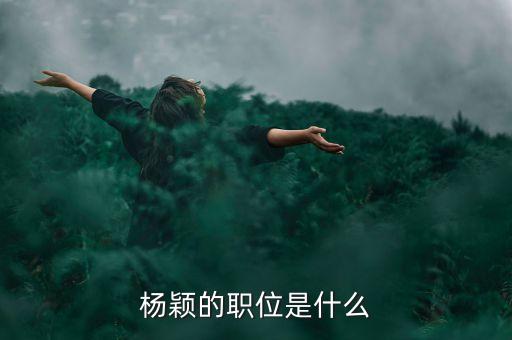 楊穎的職位是什么