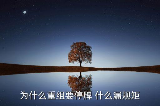 為什么湘潭電化重組暫停，湘潭電化股票停牌是什么意思